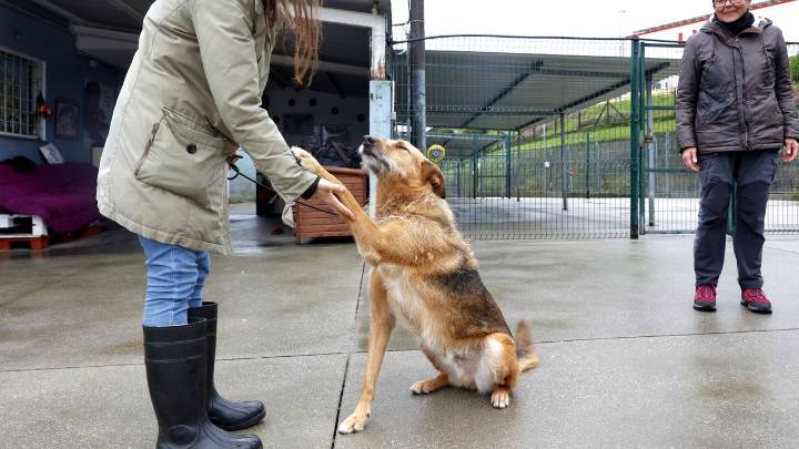 Los veteranos de Os Palleiros: toda una vida esperando por el amor de una familia