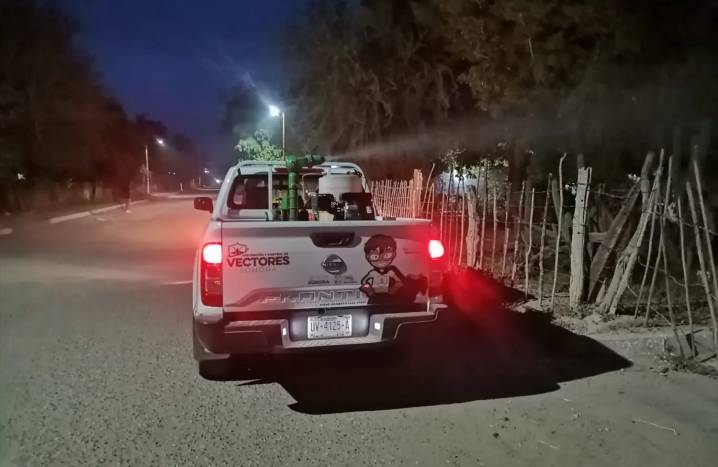 Preocupa a cajemenses el dengue