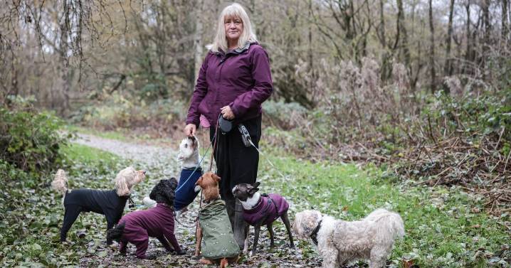 'I've been run over by a guy on a quad bike with a baby'