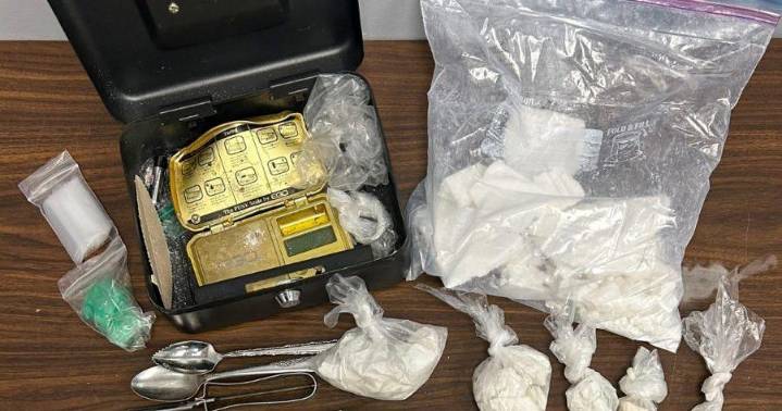 Drug raid in Pleasant Hills