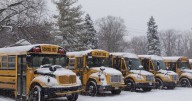 School bus cancellation notifications malfunction