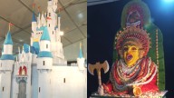 Annual cake show opens at Palace Ground