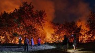 Más de 170 concellos no disponen de un plan de actuación para evitar incendios forestales
