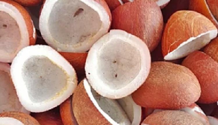 Cabinet Okays MSP For Copra For 2026 Season To Incentivise Farmers, Meet Demand