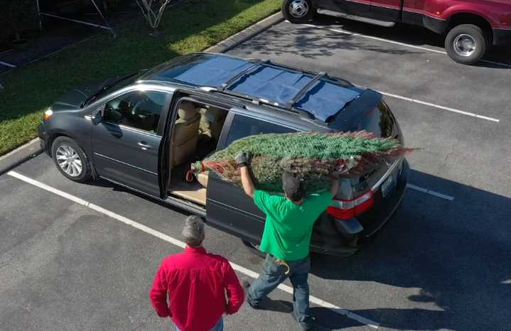 AAA urges caution as unsecured Christmas trees contribute to highway hazards