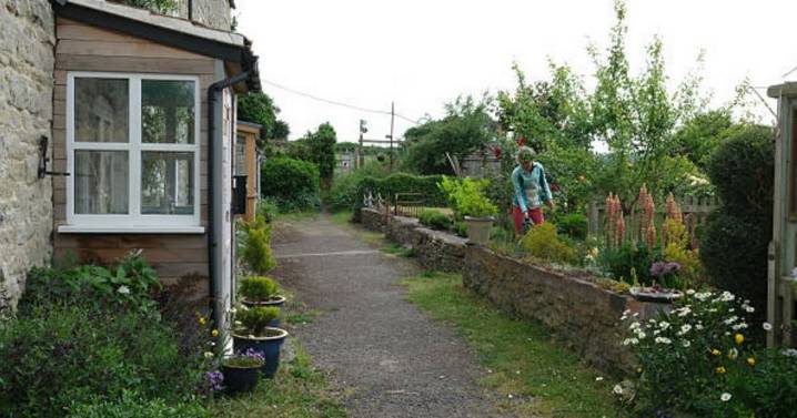 UK households urged to complete two garden tasks before end of December