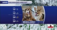 Coldest morning in MONTHS for your Friday dog walking forecast