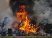 Alexander Mountain fire suspect pleads not guilty to starting 2024 wildfire west of Loveland
