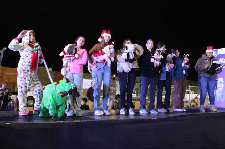 Perros y gatos encuentran familia en evento “Navidad de Pelos” del Gobierno Municipal