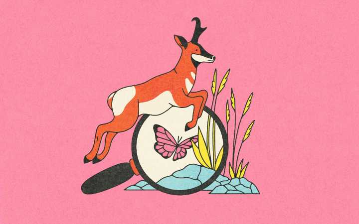 Word Wrangler: December 3, 2025