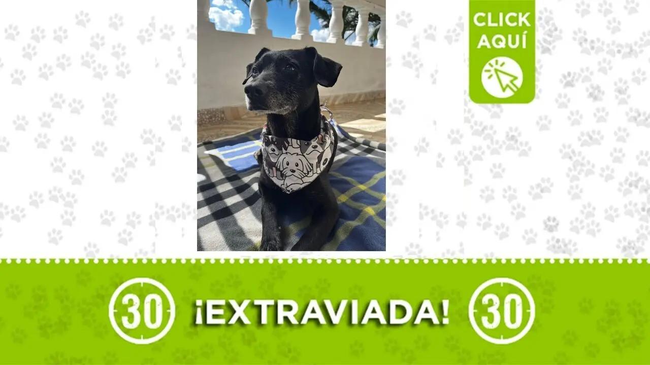 Brena se perdió en las Cuchillas de Rionegro: Su familia la busca