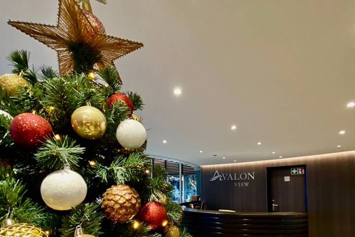 Avalon Waterways Unveils Additions to 2026 Christmas Departures