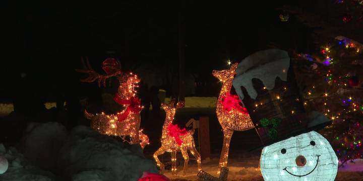 Cambridge residents donate to food pantry at annual tree