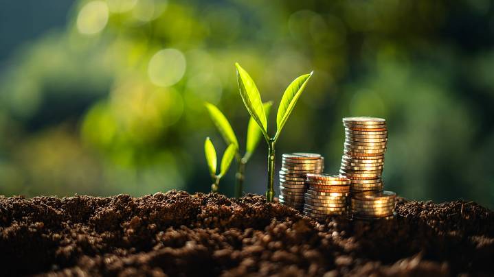 Massive Rally In Gold And Silver: Should You Rebalance Your Portfolio?