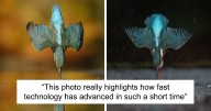 Photographer Takes 720,000 Photos To Capture A Kingfisher Dive, And 10 Years Later, Does It In Minutes