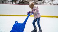 Ice skate at Holliday Park, Indy Fuel Tank and more near Indianapolis