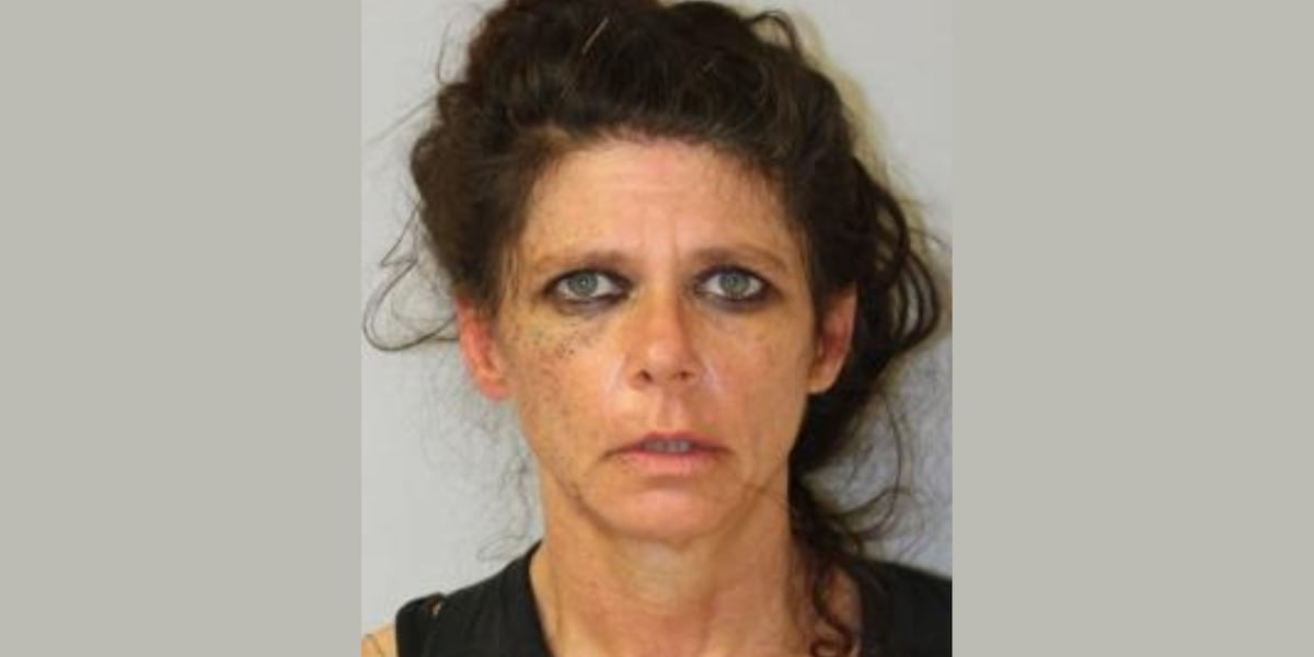 Georgia woman charged after allegedly fleeing police twice on Hawaii Island