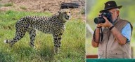 PM Modi highlights success of project cheetah on International Cheetah Day