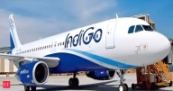 Ministry orders IndiGo to cut flights by 10 per cent