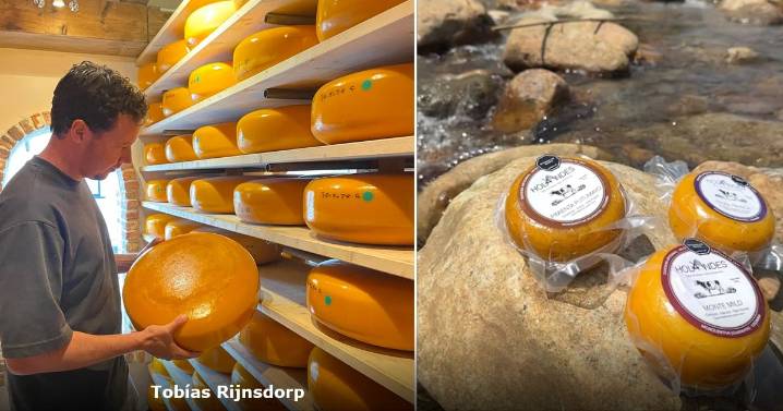 El holandés que cambió Europa por Colombia y terminó creando uno de los mejores quesos del mundo