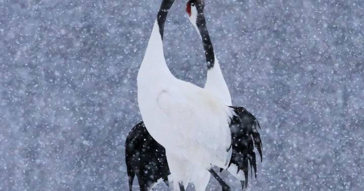 Super close shot of spider silk wins prestigious photography prize