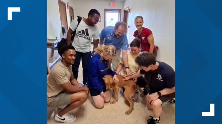 CTC aviation program helps dog reach forever home