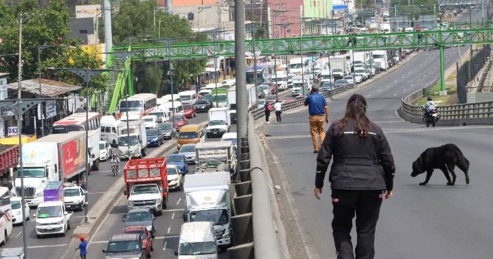 ‘Todos contra la 4T’: Prevén bloqueos en 5 carreteras para acceder a CDMX HOY viernes 5 de diciembre