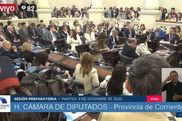 Corrientes: asumieron los diputados provinciales y el exintendente Tassano fue nombrado presidente de la Cámara