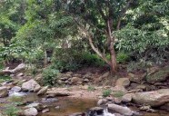 Senderista desaparecido en Vigirima, Carabobo