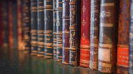 Librarians Aren't Hiding Secret Books From You That Only AI Knows About