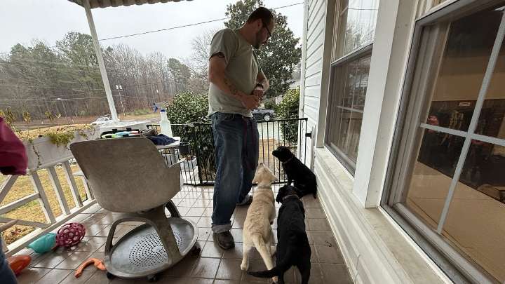 Program training puppies in prisons changes lives on both ends of the leash