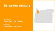 Dense fog advisory for Oregon until Friday morning – visibility as low as 1/4 mile