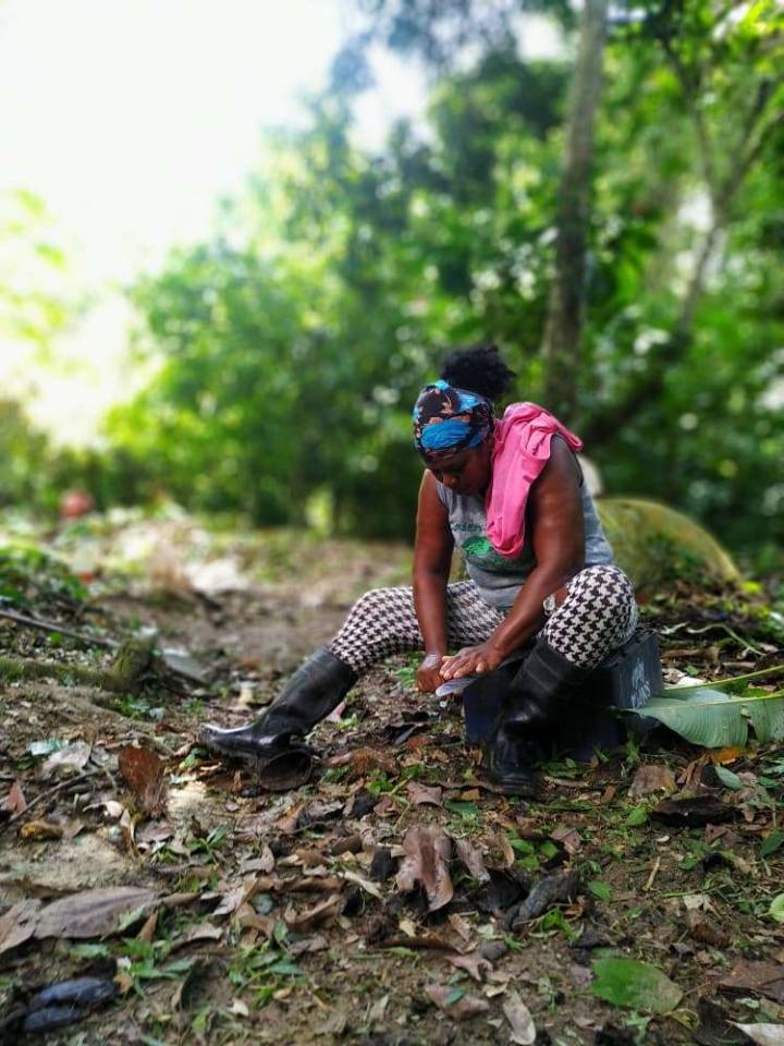 Documentalistas retratan a Venezuela venciendo obstáculos con el poder popular