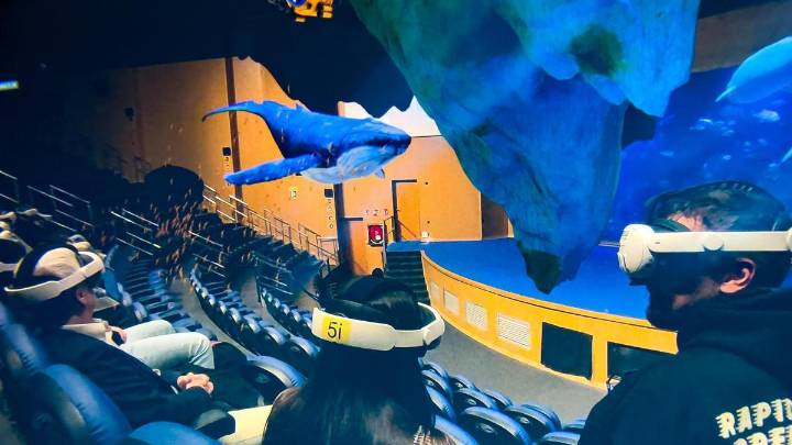 Un viatge immersiu únic pels oceans gràcies a la realitat augmentada mixta