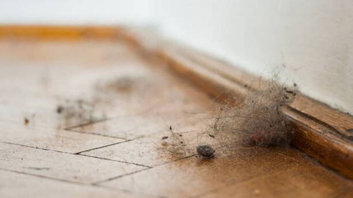 Ni aspirador ni plumero: así es el método casero más eficaz para eliminar pelos y polvo del suelo