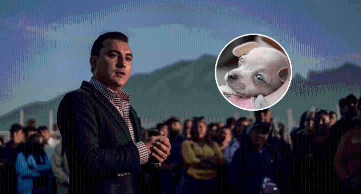 Manuel Guerra condena maltrato animal tras denuncia en García