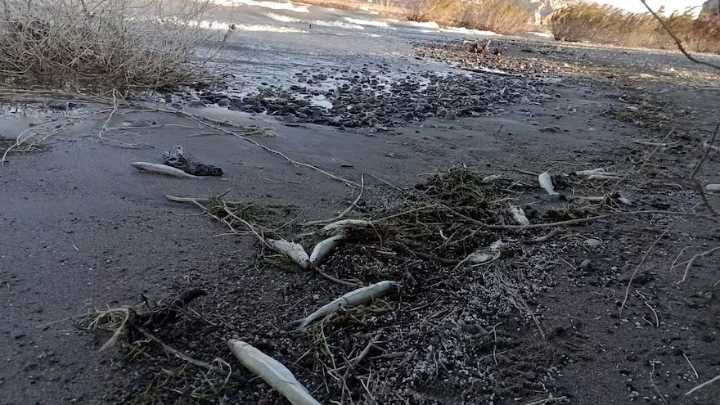 Achem defendió el informe de Ambiente y apuntó al sector "antiminero"