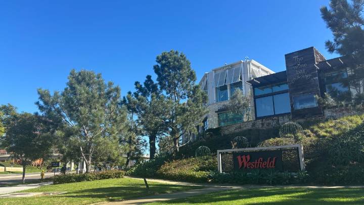 Coyote that attacked 2 children near UTC mall was euthanized, CDFW says