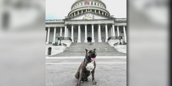 New film to dramatize the life of Ethan, Kentucky’s most