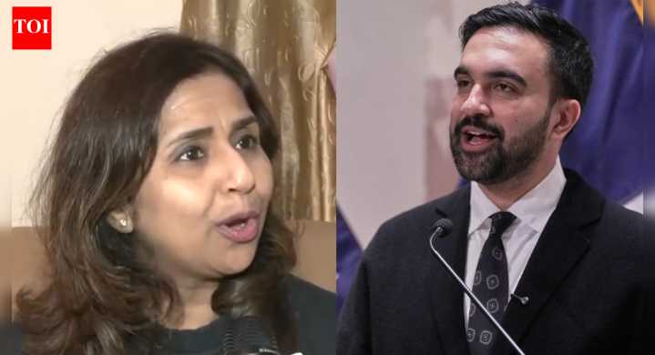 Indian-origin Menka Soni hails Zohran Mamdani’s NYC win, celebrates Indian representation in US: 'You have to connect...'