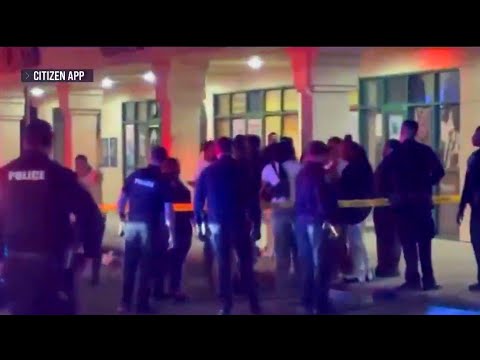 4 killed, 11 injured in shooting during California birthday party