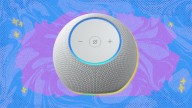 The new Amazon Echo Dot Max is now even cheaper than Black Friday