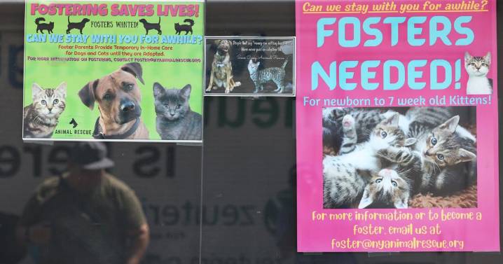 Miller; The rise of pet-vaccine hesitancy — and why it matters