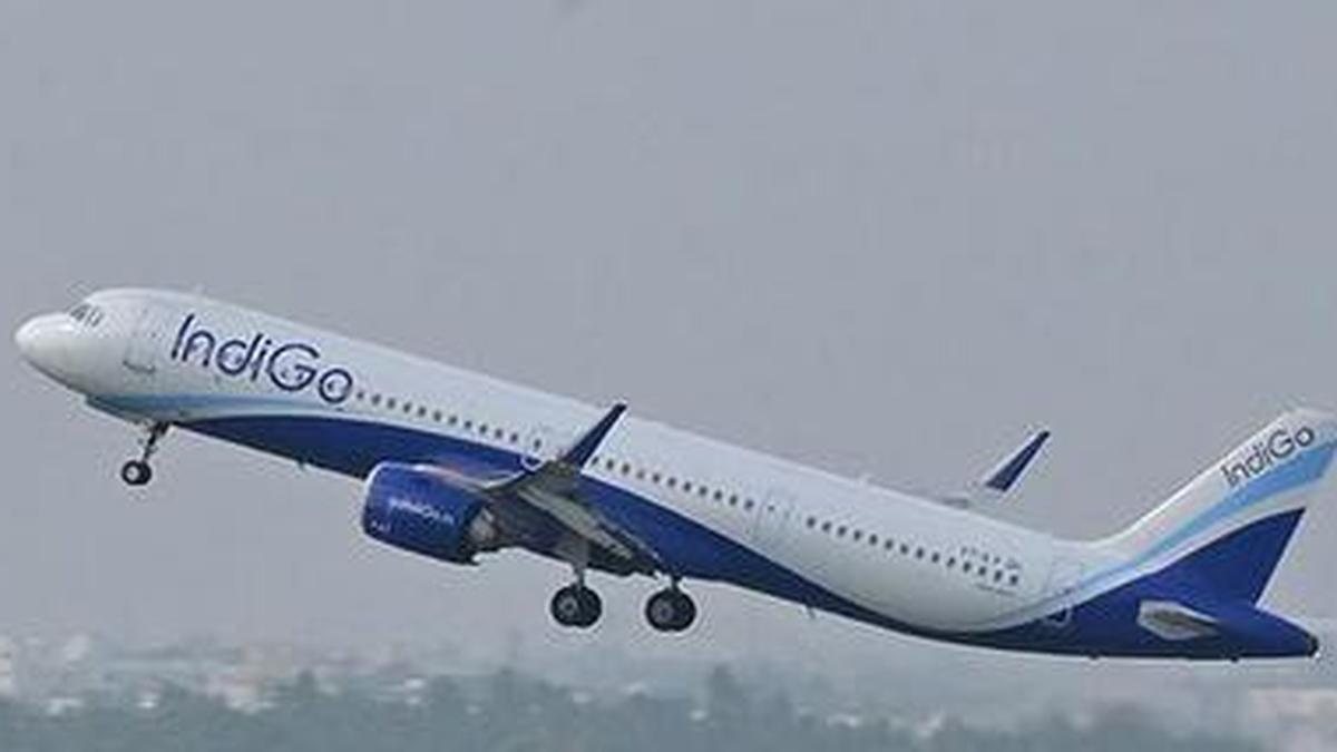 IndiGo board orders independent review as airline ramps up to 2,050 flights