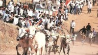 29th Baidwan kabaddi tournament kicks off at Sohana; bullock cart races steal the show