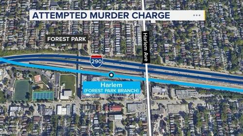 Man charged with attempted murder in attack at CTA Harlem Avenue Blue Line station, Forest Park police say