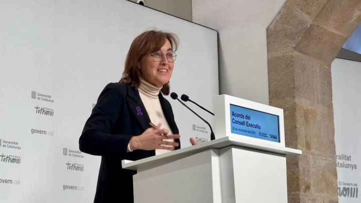 Paneque defiende las renovables en los Presupuestos de Carbono pese a su "huella" en el territorio