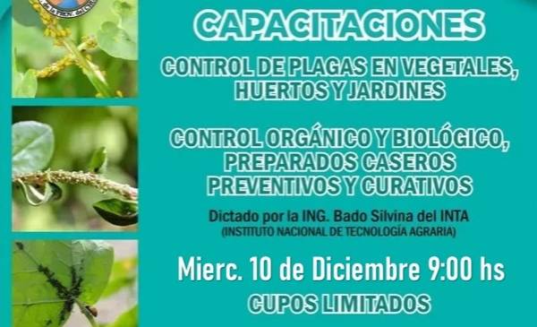 Municipio de Rawson dictará capacitación gratuita en control de plagas junto al INTA