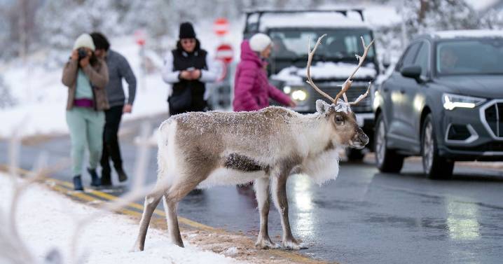 UK snow maps show England to be hit on Christmas Day