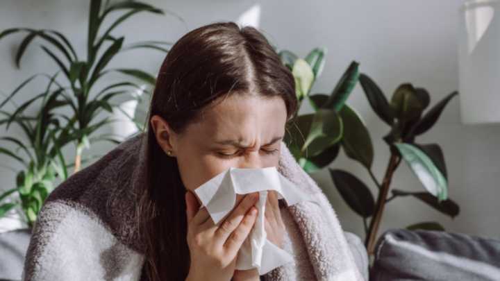 El virus de la influenza H3N2 ya está en Latinoamérica: México confirmó el primer caso del subtipo K